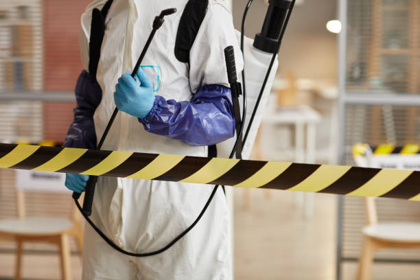Professional Sewage Cleanup technician working in Manteo, NC
